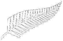 Silver fern mark